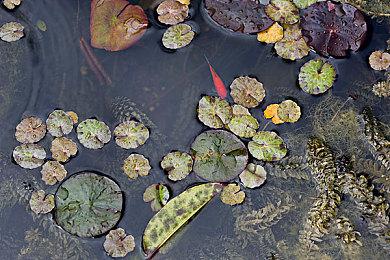 《魔咒之地》全新预告片 展示芙蕾魔法跑酷能力